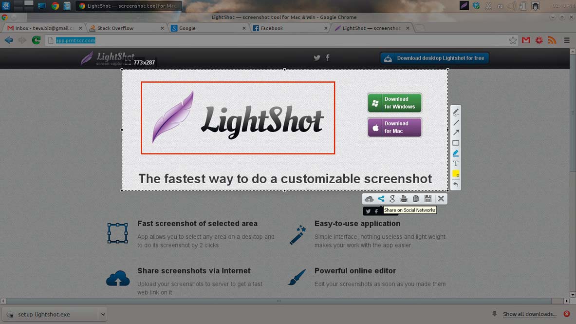 Sweft https a9fm github io lightshot. Linght shot. Лайтшот Скриншот. Программа Lightshot. Lightshot инструменты.